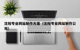 偃师沈阳专业网站制作方案（沈阳专业网站制作公司）